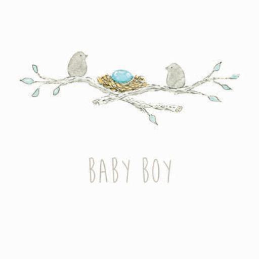 NB5 Baby Boy Egg