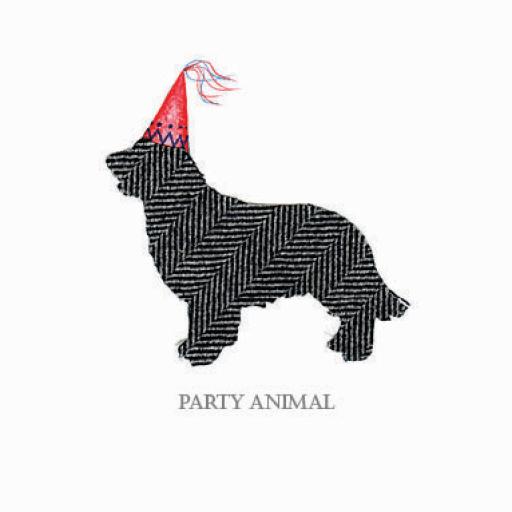 B14 Party Animal