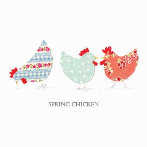 BG23 Spring Chicken